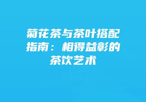菊花茶与茶叶搭配指南：相得益彰的茶饮艺术