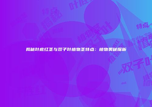 揭秘叶底红茎与双子叶植物茎特点：植物奥秘探析