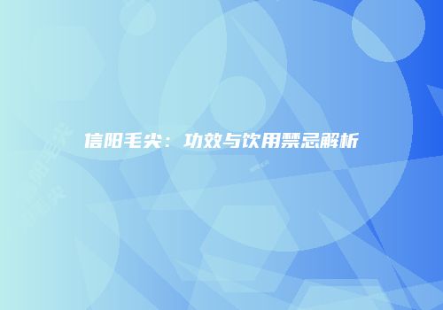 信阳毛尖：功效与饮用禁忌解析