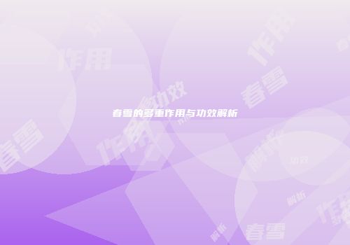 春雪的多重作用与功效解析