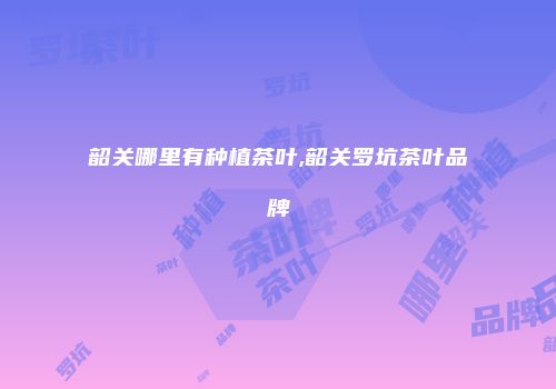 韶关哪里有种植茶叶,韶关罗坑茶叶品牌
