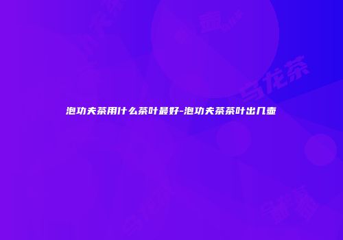 泡功夫茶用什么茶叶最好-泡功夫茶茶叶出几壶