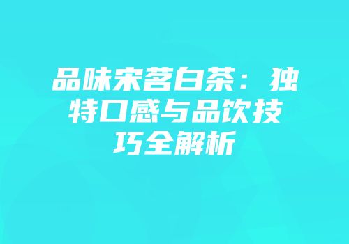 品味宋茗白茶：独特口感与品饮技巧全解析