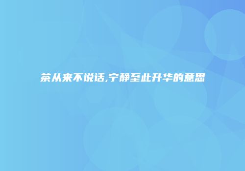 茶从来不说话,宁静至此升华的意思