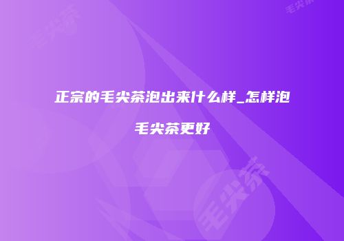 正宗的毛尖茶泡出来什么样_怎样泡毛尖茶更好