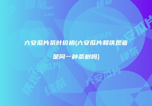 六安瓜片茶叶价格(六安瓜片和铁观音是同一种茶树吗)