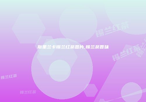 斯里兰卡锡兰红茶图片,锡兰茶香味