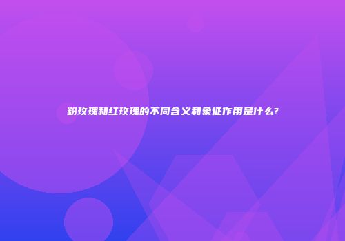 粉玫瑰和红玫瑰的不同含义和象征作用是什么?