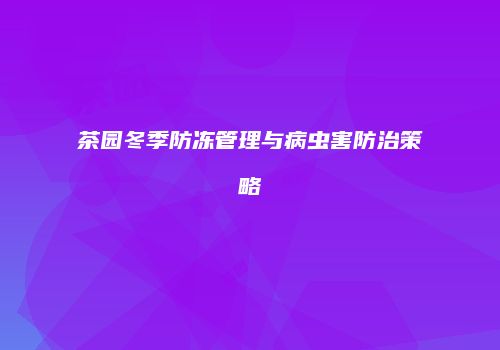 茶园冬季防冻管理与病虫害防治策略