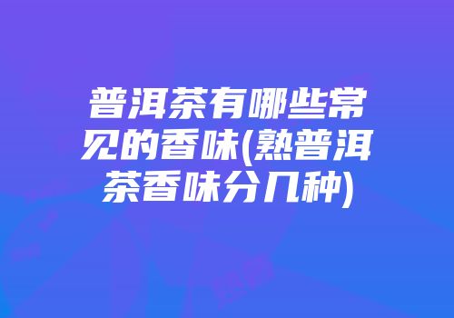 普洱茶有哪些常见的香味(熟普洱茶香味分几种)