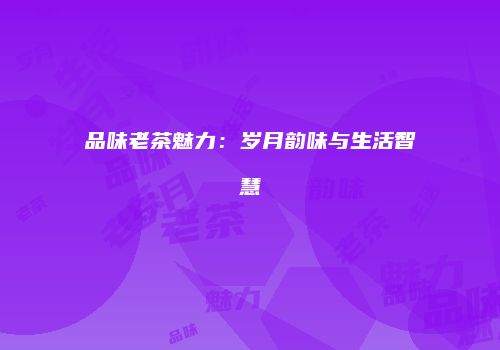 品味老茶魅力：岁月韵味与生活智慧