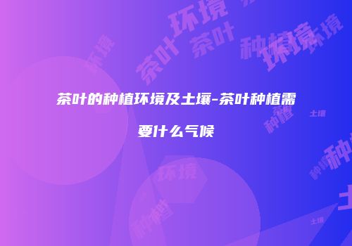 茶叶的种植环境及土壤-茶叶种植需要什么气候