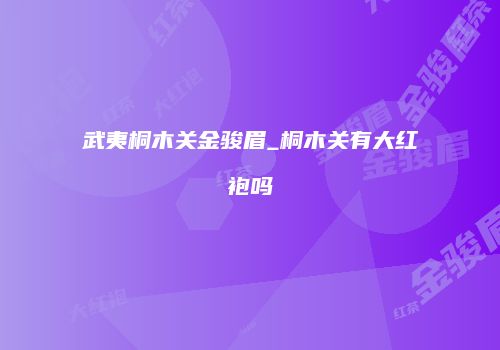 武夷桐木关金骏眉_桐木关有大红袍吗