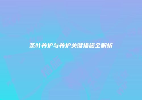 茶叶养护与养护关键措施全解析