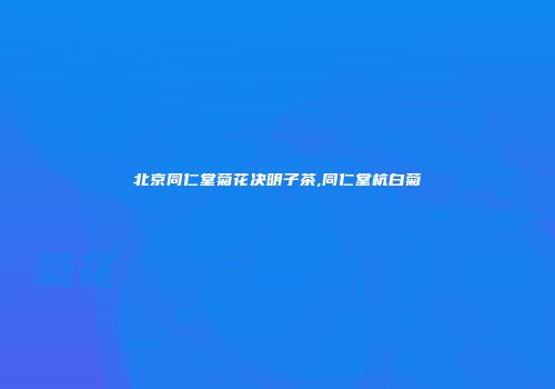 北京同仁堂菊花决明子茶,同仁堂杭白菊