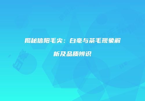 揭秘信阳毛尖：白毫与茶毛现象解析及品质辨识