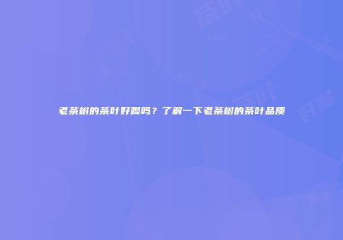 老茶树的茶叶好喝吗？了解一下老茶树的茶叶品质