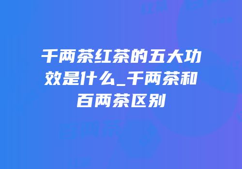千两茶红茶的五大功效是什么_千两茶和百两茶区别