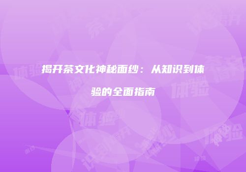 揭开茶文化神秘面纱：从知识到体验的全面指南