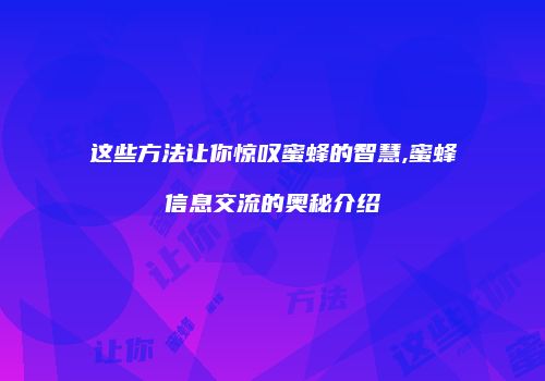 这些方法让你惊叹蜜蜂的智慧,蜜蜂信息交流的奥秘介绍