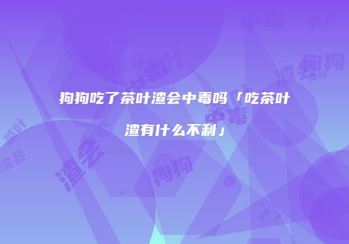 狗狗吃了茶叶渣会中毒吗「吃茶叶渣有什么不利」
