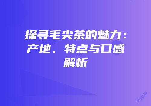 探寻毛尖茶的魅力：产地、特点与口感解析