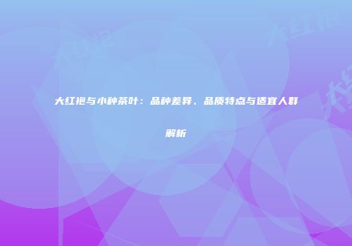大红袍与小种茶叶：品种差异、品质特点与适宜人群解析