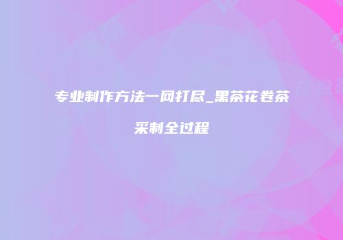专业制作方法一网打尽_黑茶花卷茶采制全过程