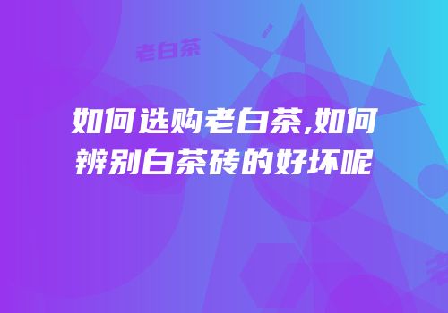 如何选购老白茶,如何辨别白茶砖的好坏呢