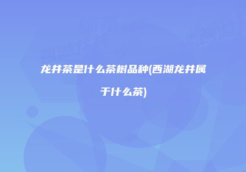 龙井茶是什么茶树品种(西湖龙井属于什么茶)