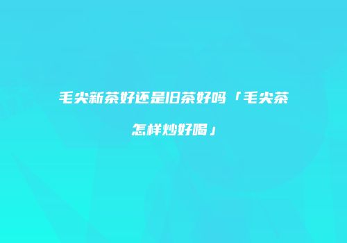 毛尖新茶好还是旧茶好吗「毛尖茶怎样炒好喝」