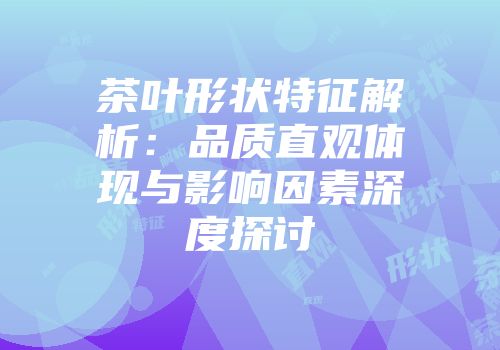 茶叶形状特征解析：品质直观体现与影响因素深度探讨