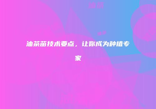 油茶苗技术要点，让你成为种植专家