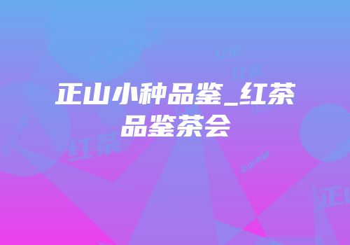 正山小种品鉴_红茶品鉴茶会