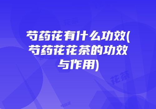 芍药花有什么功效(芍药花花茶的功效与作用)