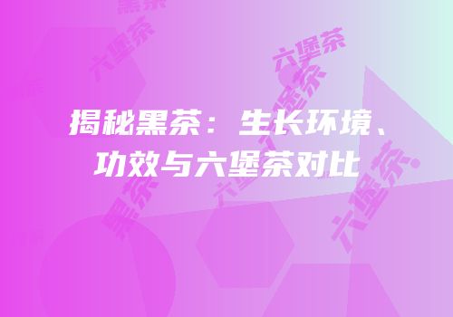 揭秘黑茶：生长环境、功效与六堡茶对比