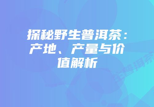 探秘野生普洱茶：产地、产量与价值解析