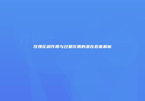 玫瑰花副作用与过量饮用的潜在危害解析