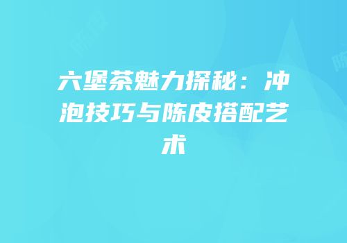 六堡茶魅力探秘：冲泡技巧与陈皮搭配艺术