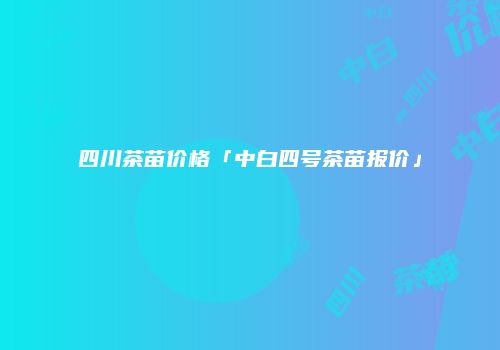四川茶苗价格「中白四号茶苗报价」