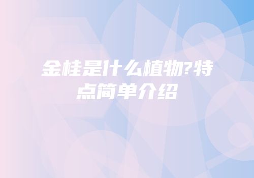 金桂是什么植物?特点简单介绍