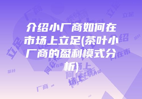 介绍小厂商如何在市场上立足(茶叶小厂商的盈利模式分析)