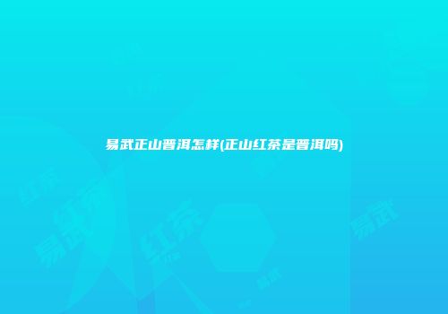 易武正山普洱怎样(正山红茶是普洱吗)