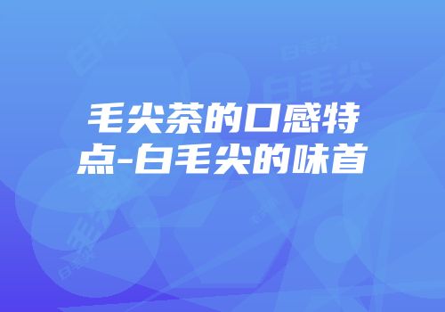 毛尖茶的口感特点-白毛尖的味首