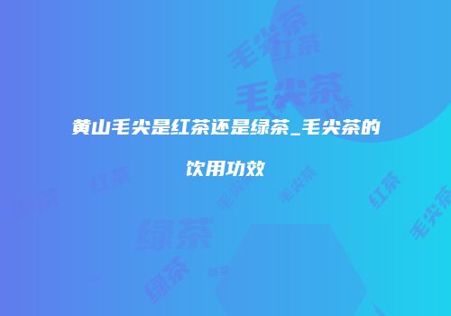 黄山毛尖是红茶还是绿茶_毛尖茶的饮用功效