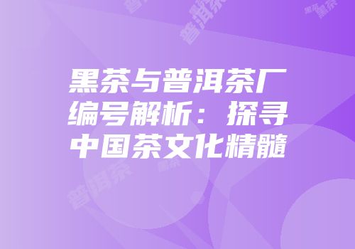 黑茶与普洱茶厂编号解析：探寻中国茶文化精髓