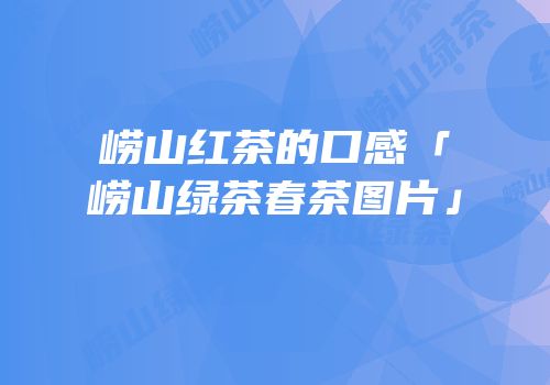 崂山红茶的口感「崂山绿茶春茶图片」