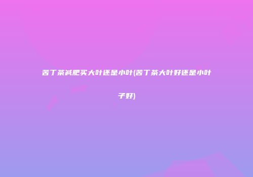 苦丁茶减肥买大叶还是小叶(苦丁茶大叶好还是小叶子好)