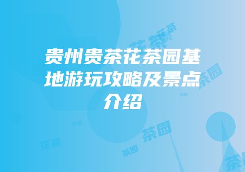 贵州贵茶花茶园基地游玩攻略及景点介绍