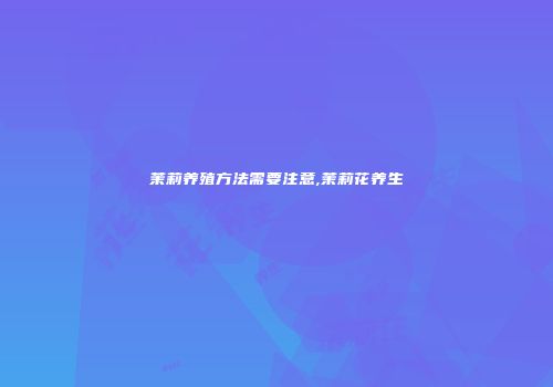 茉莉养殖方法需要注意,茉莉花养生